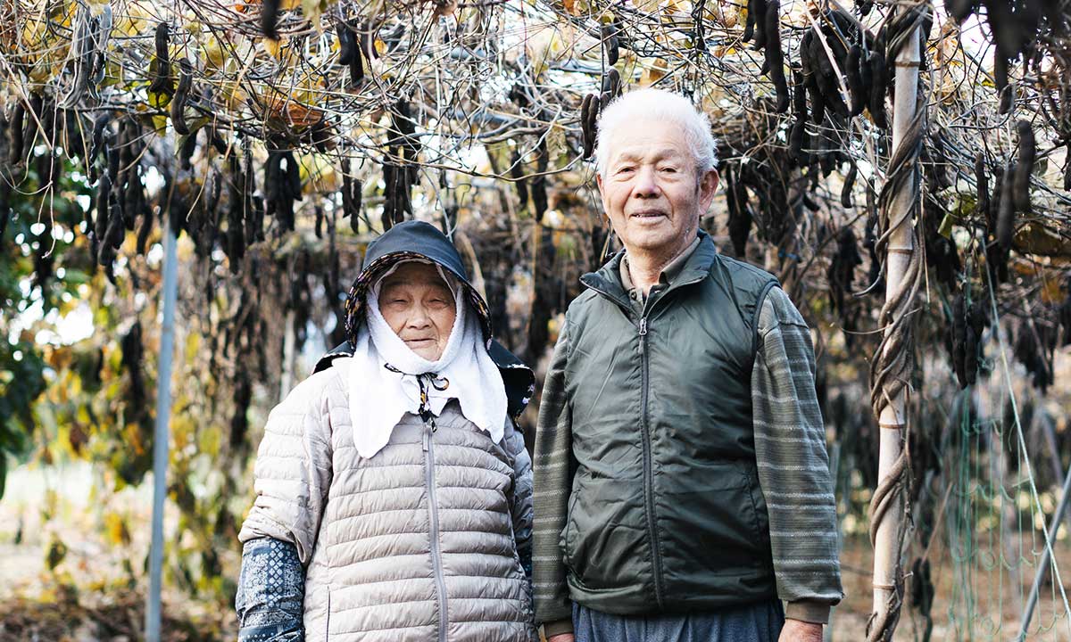 糸島が育んだムクナ豆という、希望の植物。