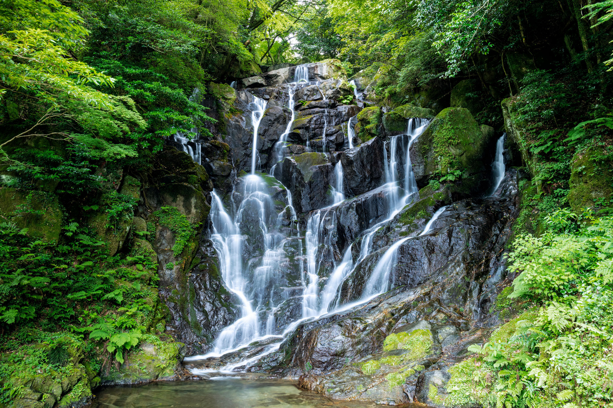 自然を守ることは、暮らしを守ること。