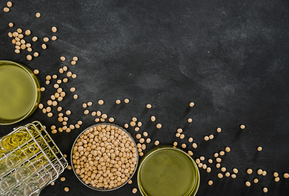 世界で進む、ムクナ豆の研究