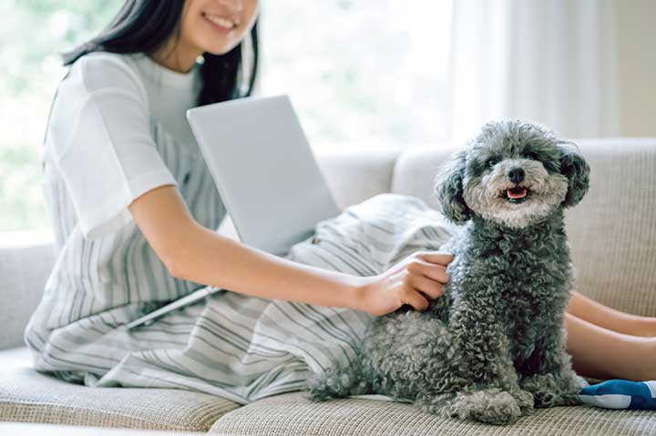 ムクナ豆愛好者の感想1