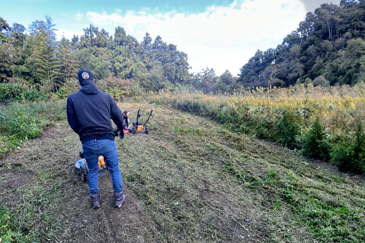糸島の耕作放棄地